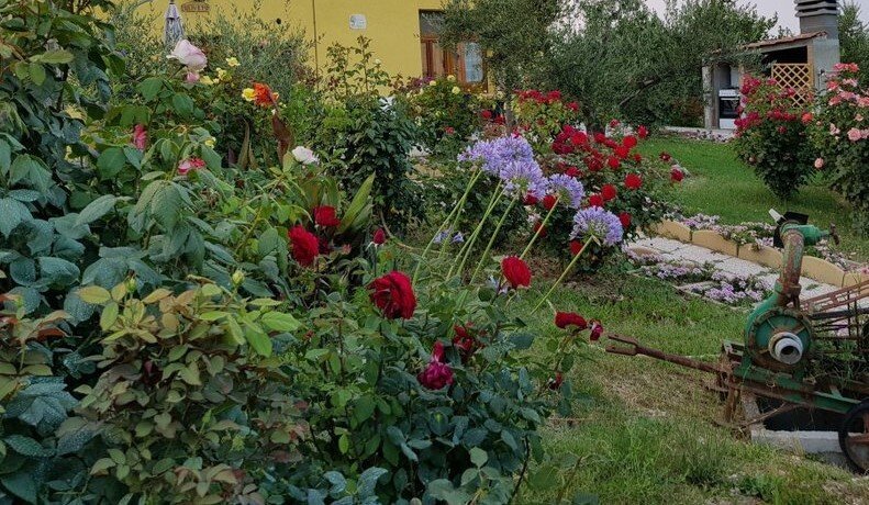 Farm Ranch in Center - Sea, Pesaro, Marche 4 - 14576655