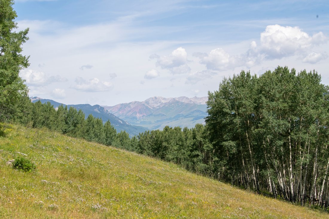 Land in Crested Butte, Colorado, United States 4 - 14331620