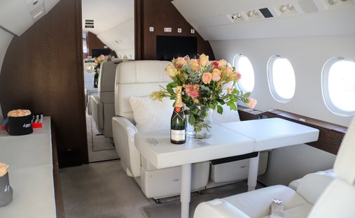 Falcon 8