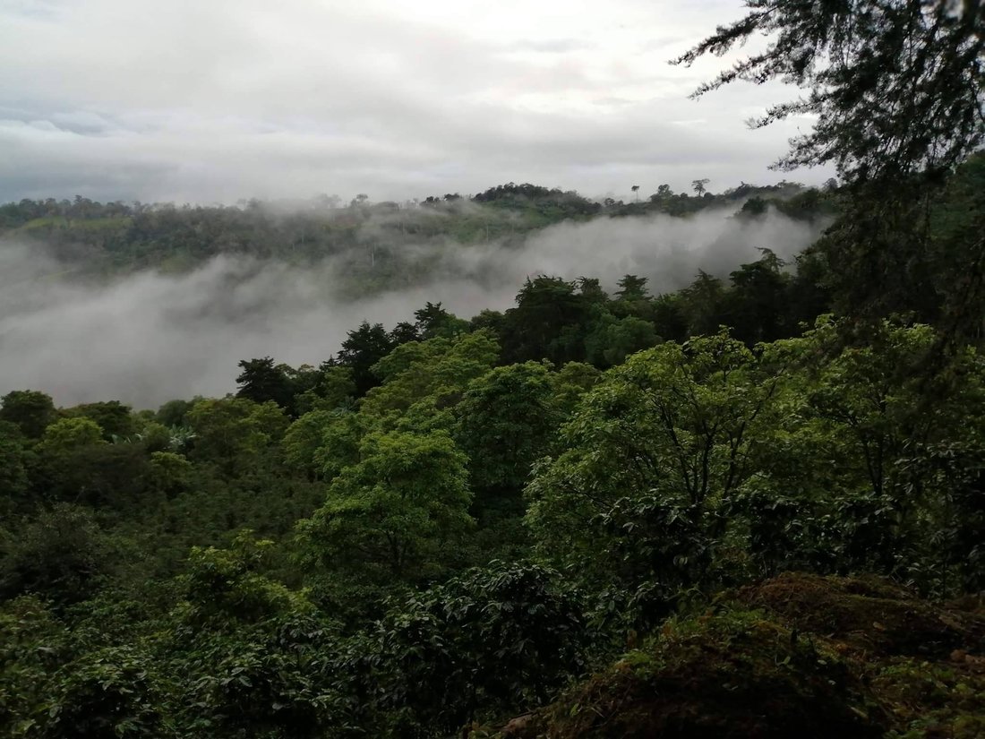 Los Naranjos, Chiriquí Province, Panama 1 - 14586082