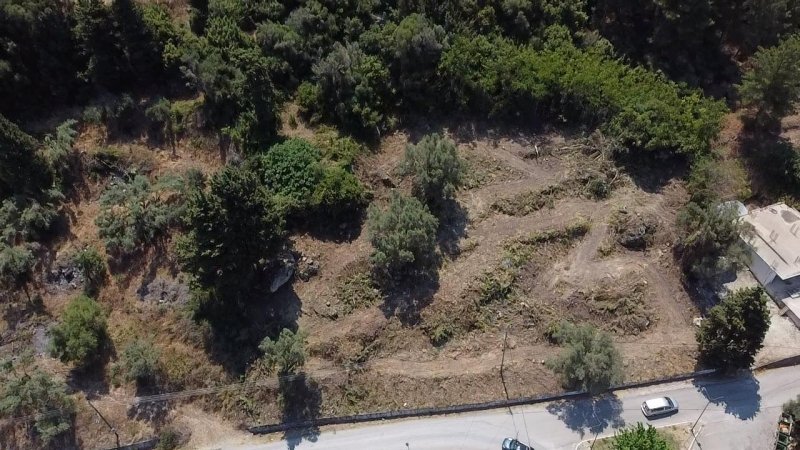 Land in Basilikis, Apollonioi, Greece 3 - 14586023