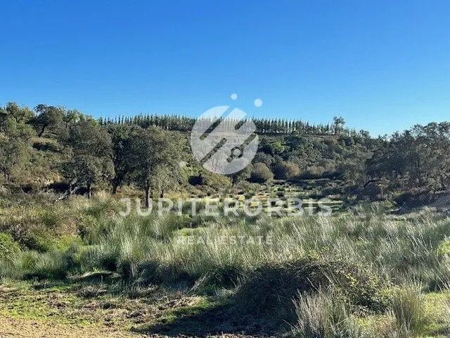 Land in Vila Nova de Milfontes, Beja District, Portugal 4 - 14584344