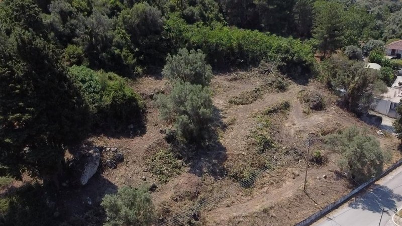 Land in Basilikis, Apollonioi, Greece 4 - 14586023