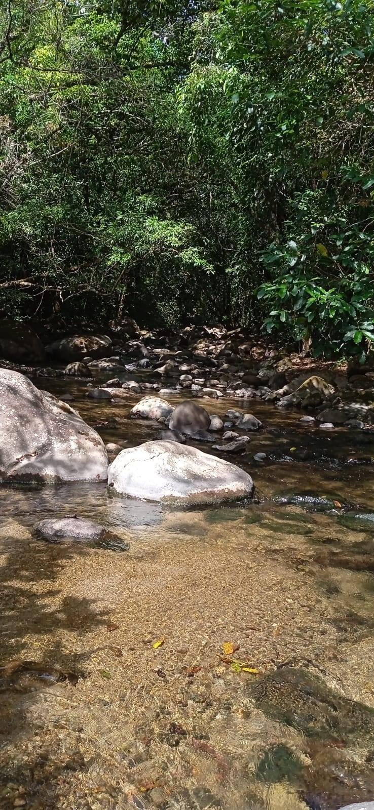 Anton Valley, Coclé Province, Panama 4 - 14586078