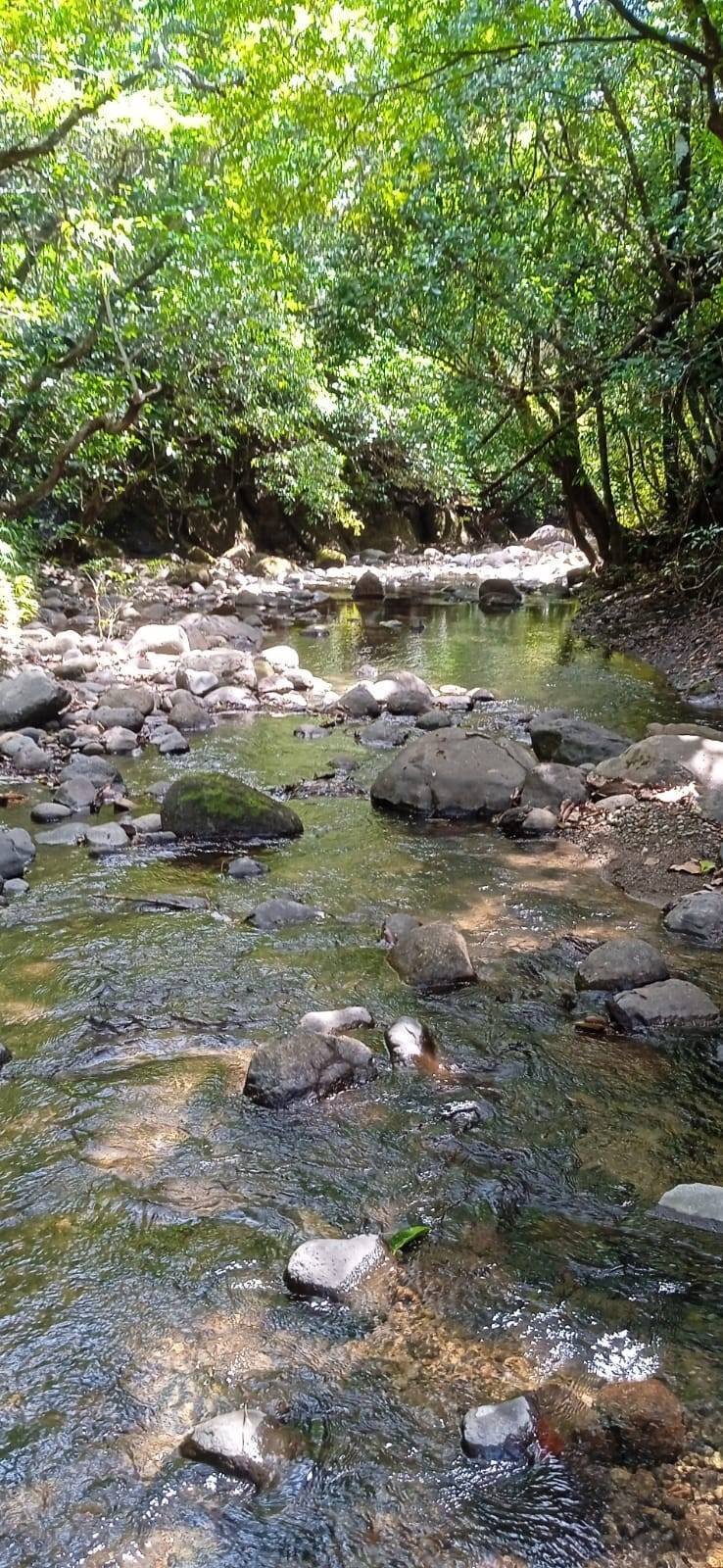 Anton Valley, Coclé Province, Panama 5 - 14586078