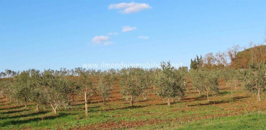 House in Saint Peter in Palazzi - Collemezzano - Cat's Hole, Cecina, Tuscany 2 - 14586066
