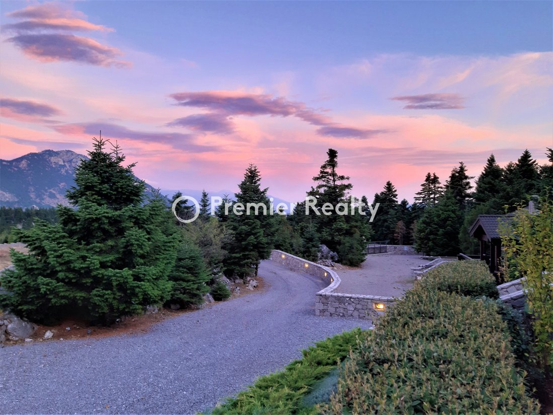 Villa in Koinotita Eptalophou, Parnassos, Greece 4 - 14590233