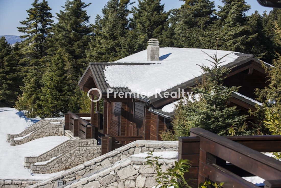 Villa in Koinotita Eptalophou, Parnassos, Greece 5 - 14590229