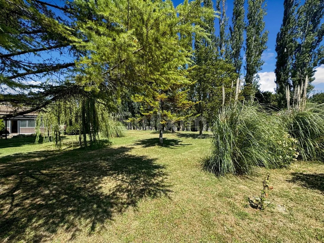 House in Colonzelle, Auvergne-Rhône-Alpes, France 2 - 14588590