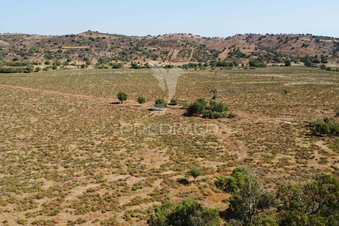 Farm Ranch in Azinhal, Algarve, Portugal 5 - 14340264