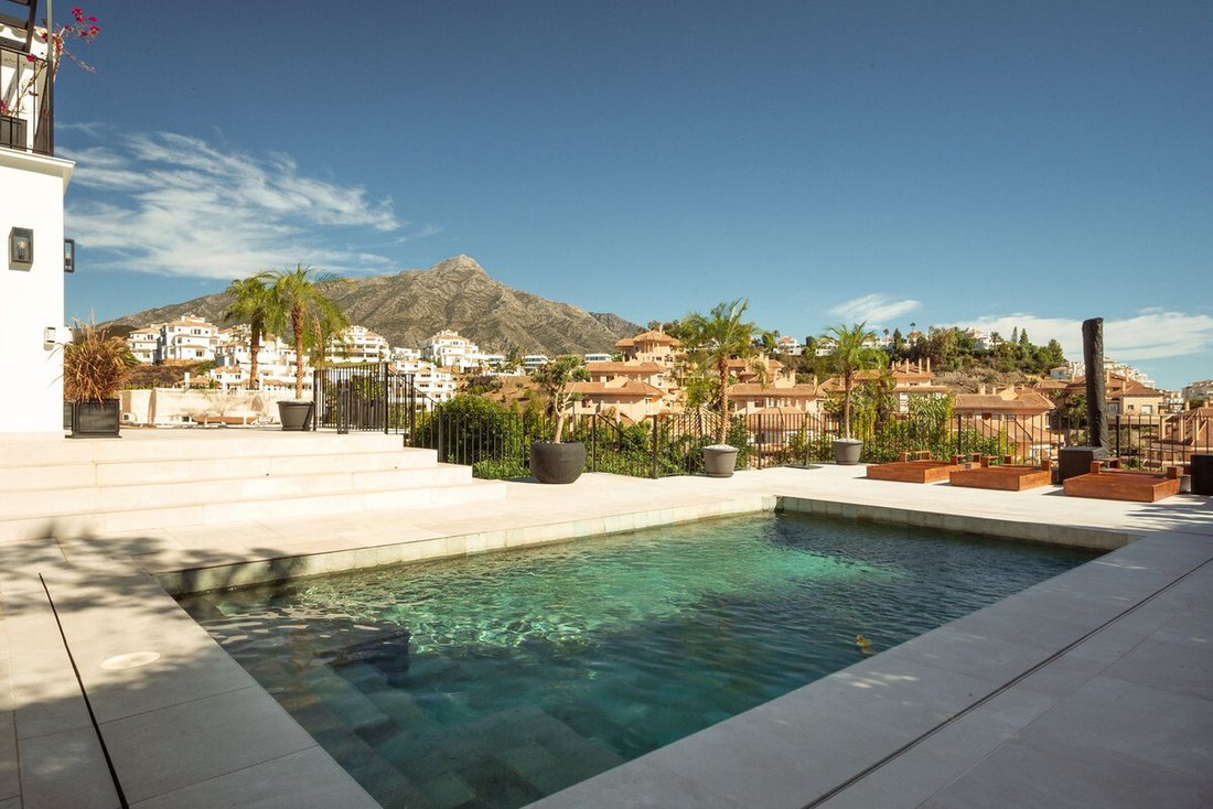 House in Nueva Andalucia, Marbella, Spain 3 - 14588183
