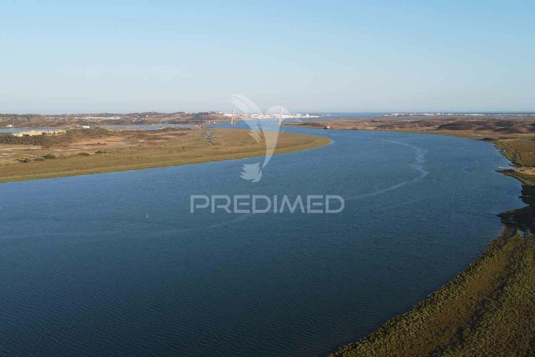 Farm Ranch in Azinhal, Distrikt Faro, Portugal 3 - 14440315