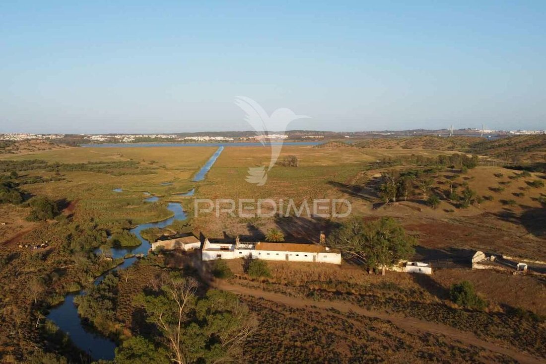 Farm Ranch in Azinhal, Algarve, Portugal 1 - 14340264