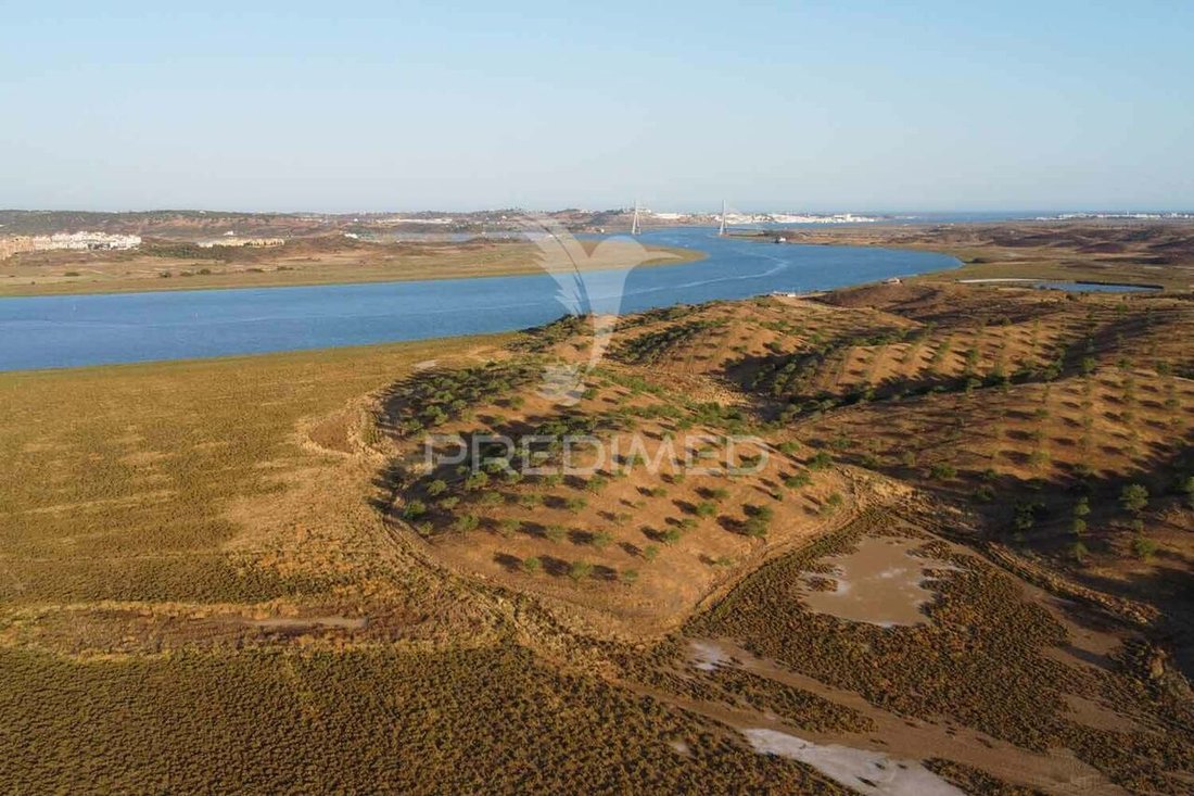 Farm Ranch in Azinhal, Distrikt Faro, Portugal 2 - 14440315