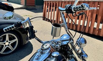 2009 Harley-Davidson FLSTC Heritage Sftl Clsc
