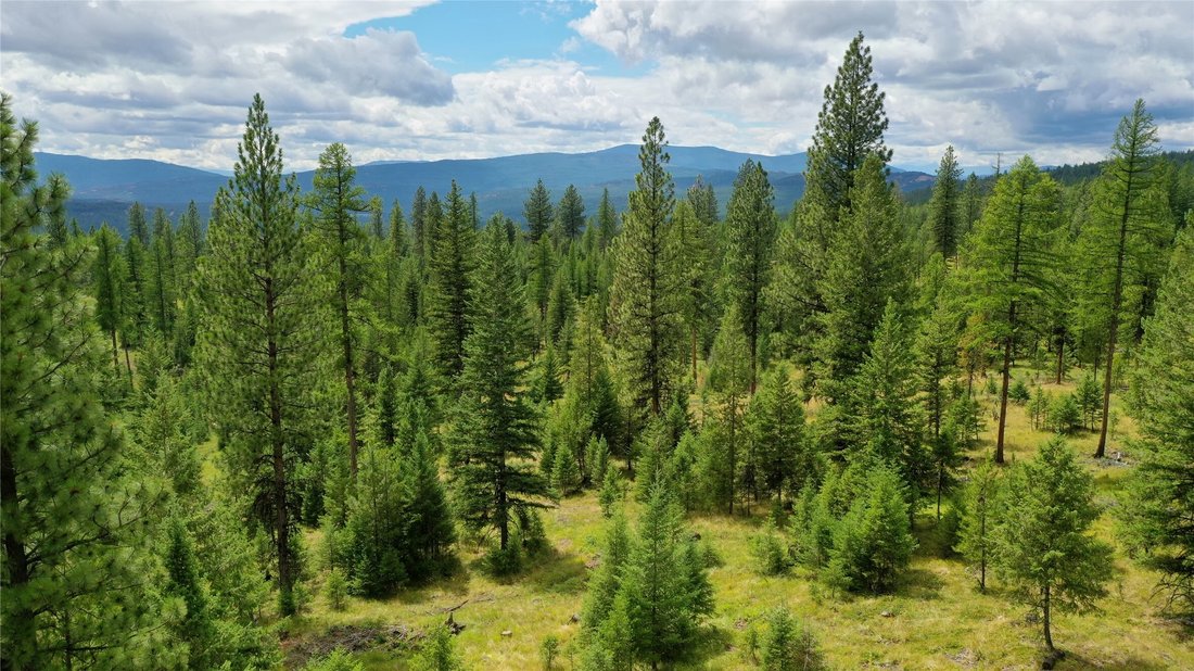 Land in Marion, Montana, United States 5 - 14596102