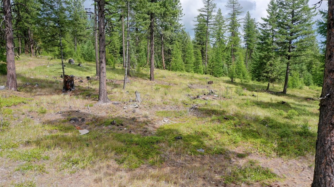 Land in Marion, Montana, United States 3 - 14596102