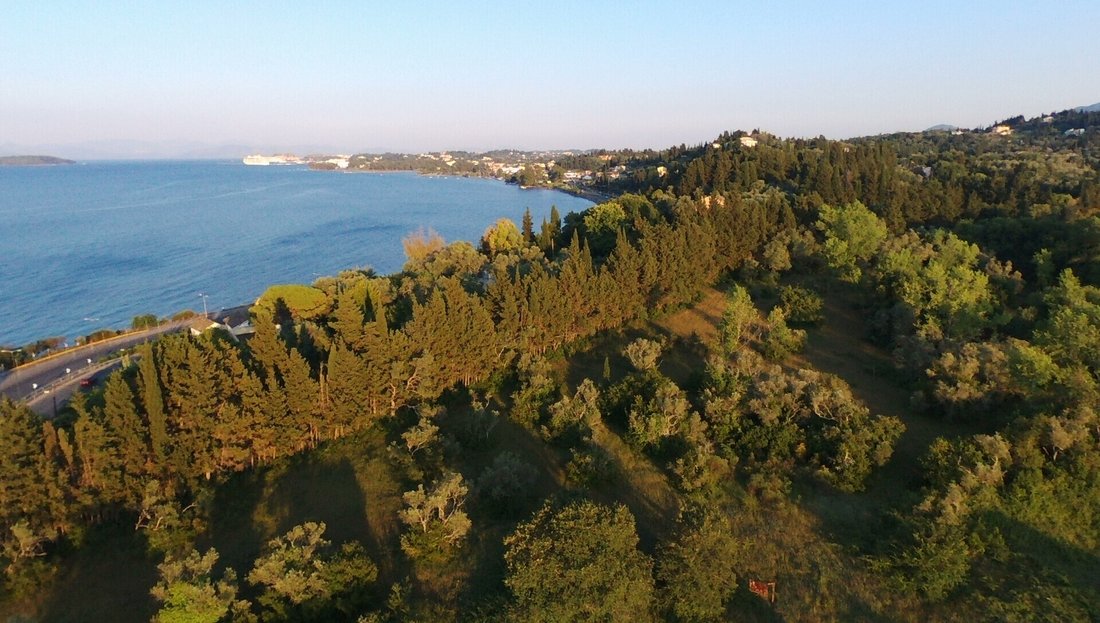 Land in Corfu, Peloponnese, Western Greece and the Ionian, Greece 5 - 14597207