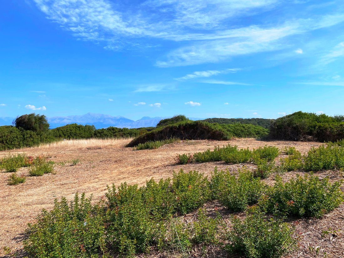 Land in Corfu, Peloponnese, Western Greece and the Ionian, Greece 2 - 14597249