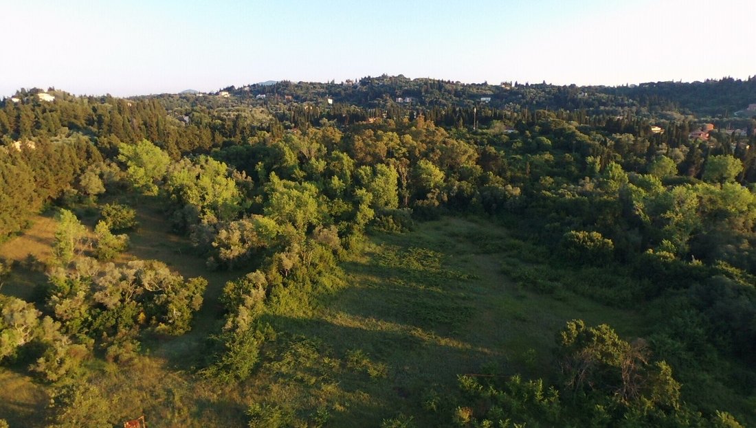 Land in Corfu, Peloponnese, Western Greece and the Ionian, Greece 4 - 14597207