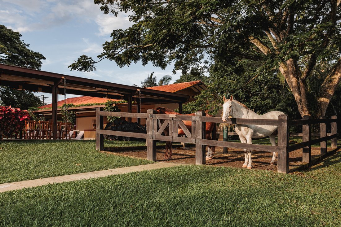 Estate in Pereira, Risaralda, Colombia 3 - 14598919
