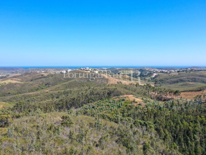 2 Estates With 146 Hectares, In Vila Do Bispo In Budens, Algarve