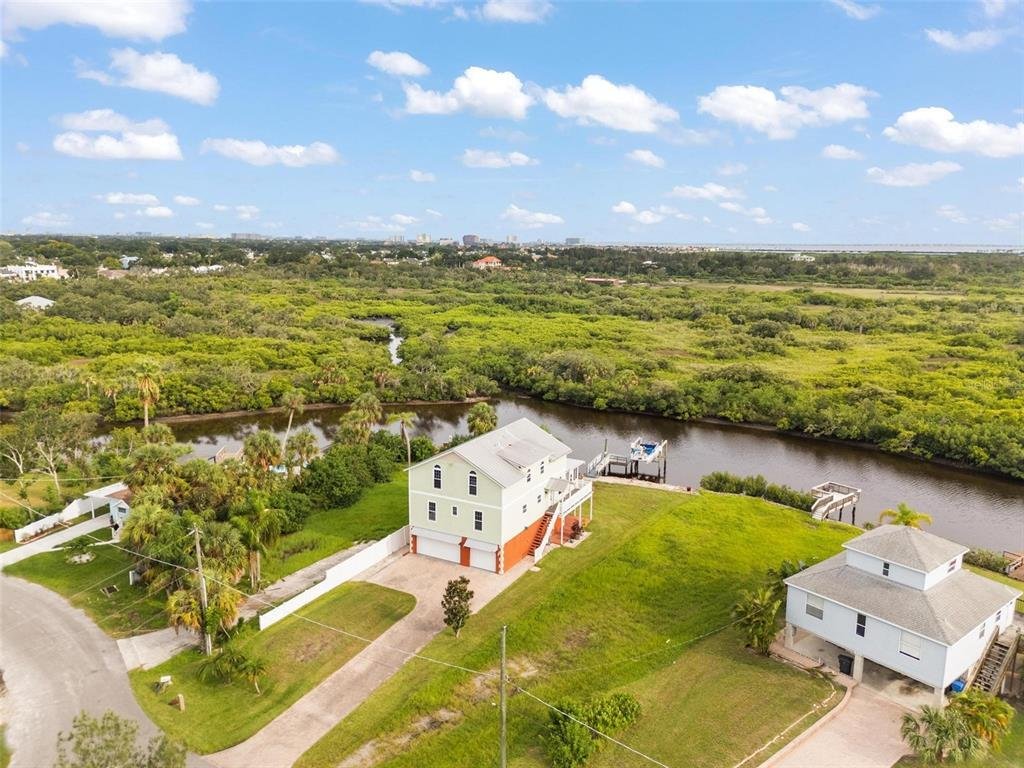 House in Tampa, Florida, United States 3 - 14597539