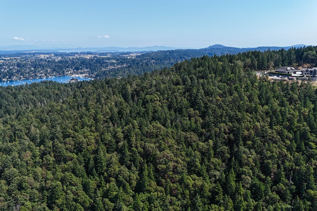 Land in Victoria, British Columbia, Canada 5 - 14600575