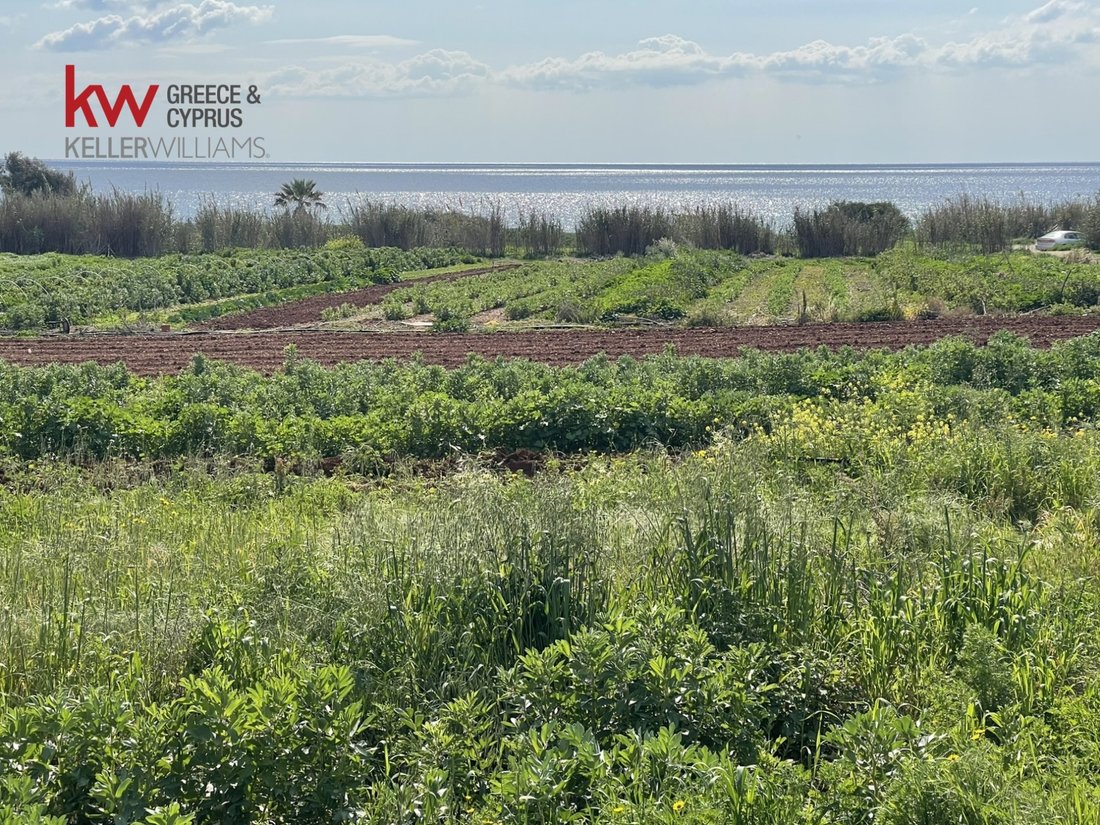 Land in Ormideia, Larnaca, Cyprus 2 - 13923849
