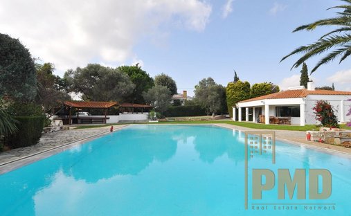 Villa in Markopoulo Mesogaias, Attica, Greece 1