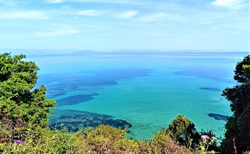Land in Meliteieis, Peloponnese, Western Greece and the Ionian, Griechenland 1