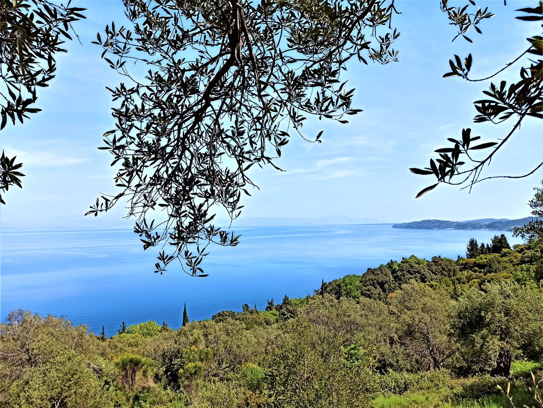 Land in Meliteieis, Peloponnese, Western Greece and the Ionian, Greece 2 - 14603125