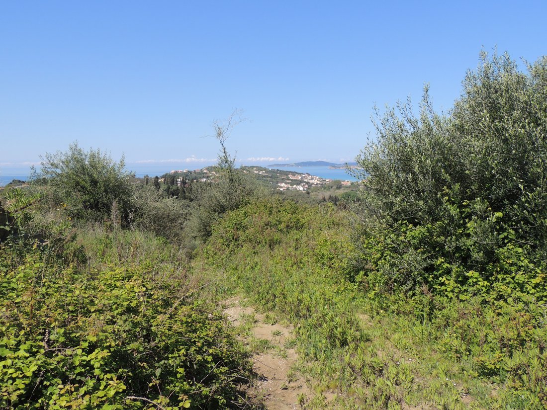 Land in Northern Corfu, Peloponnese, Western Greece and the Ionian, Greece 4 - 14603137