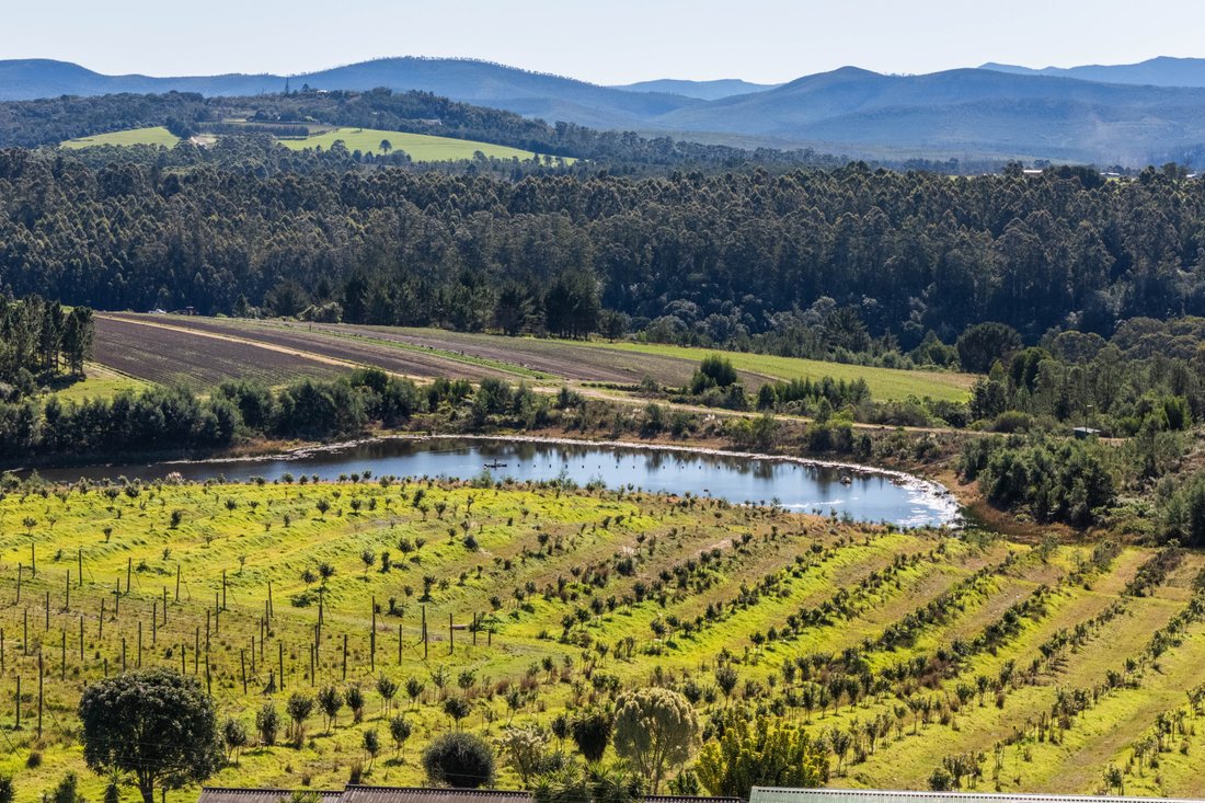 Farm Ranch in Harkerville, Western Cape, South Africa 1 - 14603288