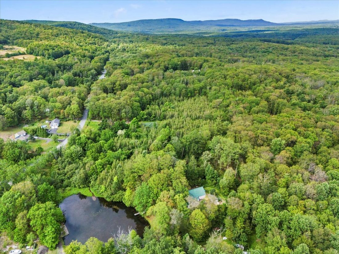 House in Bloomingburg, New York, United States 5 - 14604420