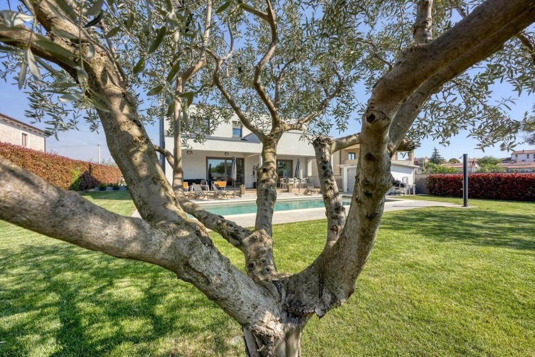 House in Nova Vas, Porec, Istria County, Croatia 3 - 14604018