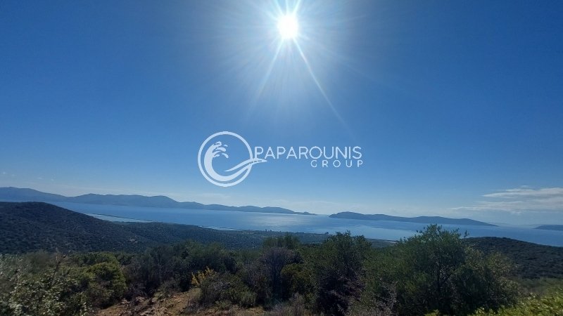 Land in Koinotita Thermisias, Ermioni, Greece 5 - 14604120