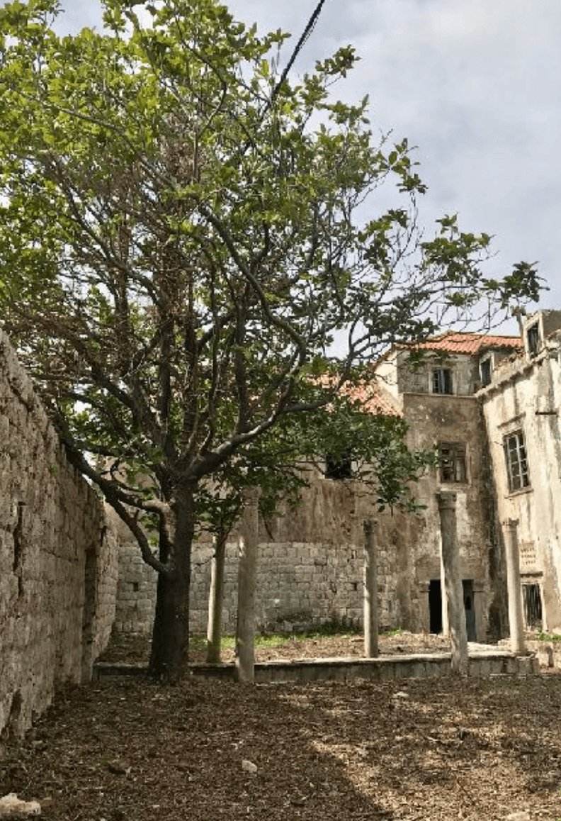 House in Gradski kotar Gruz, Dubrovnik, Dubrovnik-Neretva County 5 - 14604017