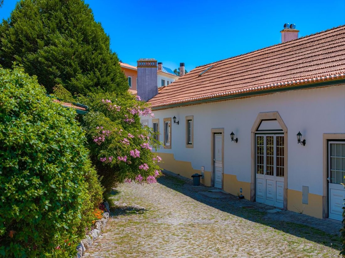 10 Bedrooms Farm/Ranch In Santa Catarina, Leiria District, Portugal For