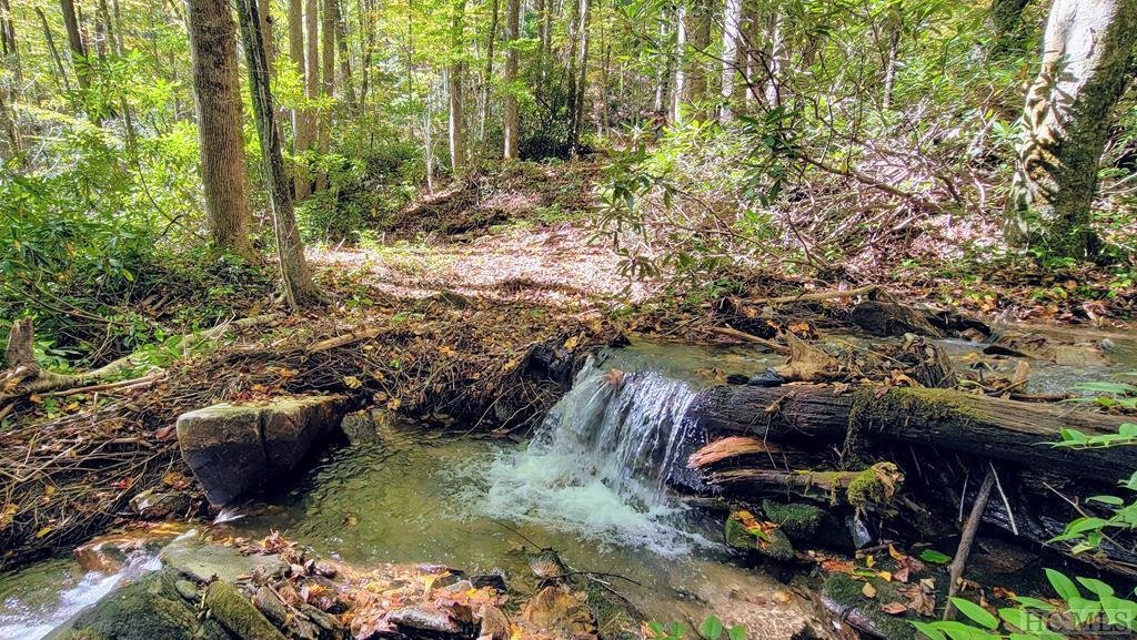 House in Cashiers, North Carolina, United States 1 - 14605795