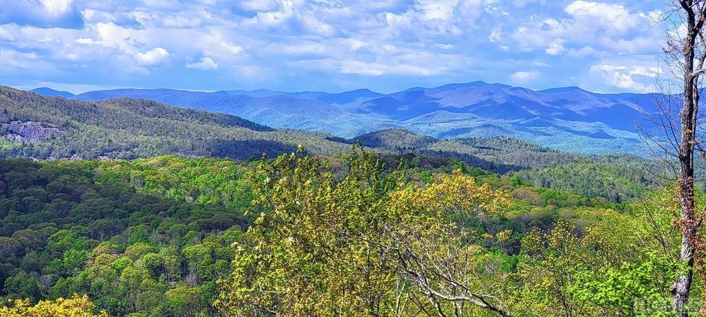 House in Cashiers, North Carolina, United States 1 - 14605776