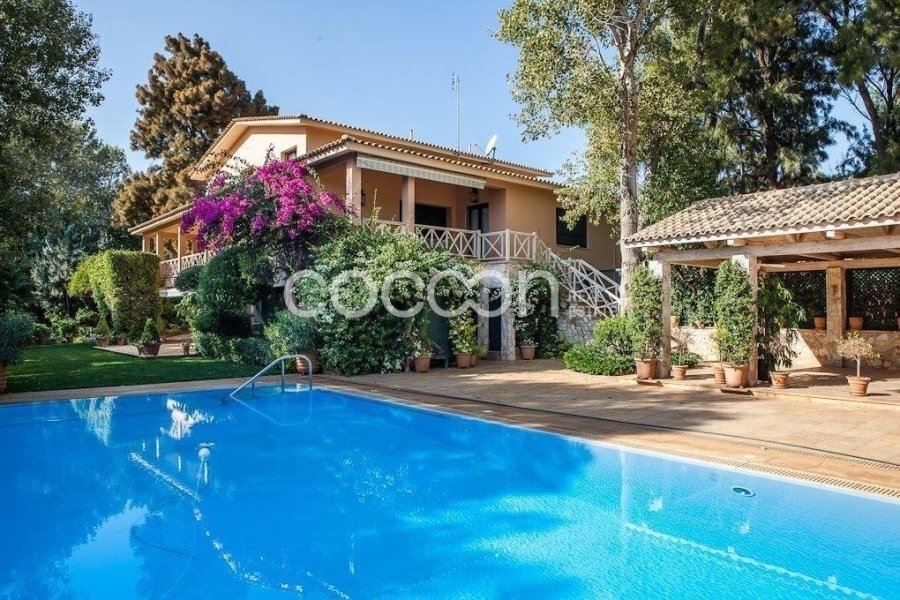 Villa in Kropia, Attica, Greece 4 - 14606454