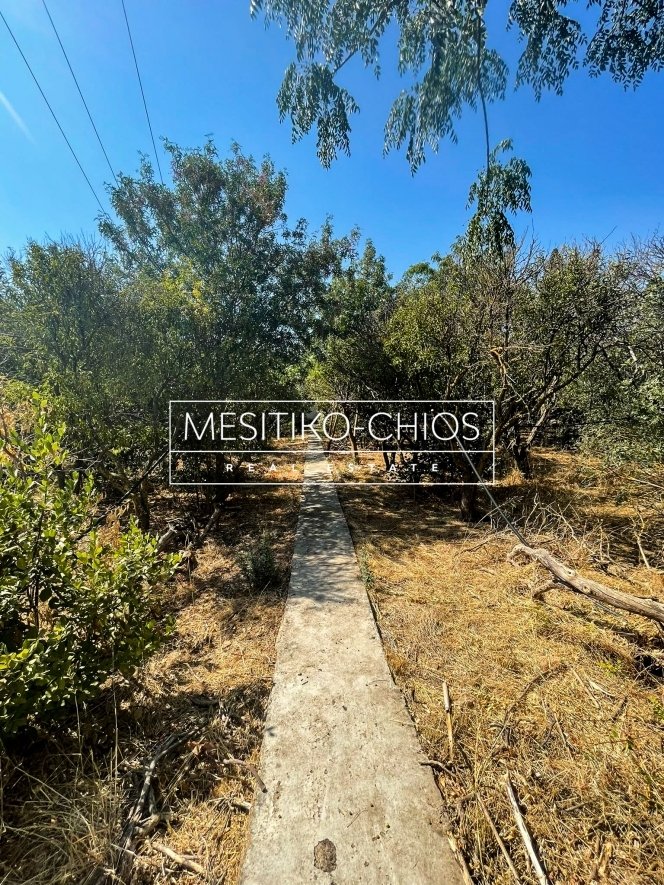 Land in Chios, Aegean, Greece 4 - 14606131
