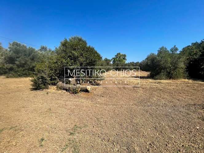 Land in Chios, Aegean, Greece 5 - 14606131