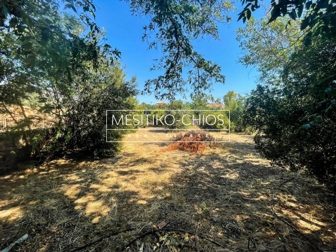Land in Chios, Aegean, Greece 3 - 14606131
