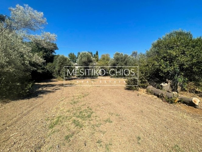 Land in Chios, Aegean, Greece 2 - 14606131