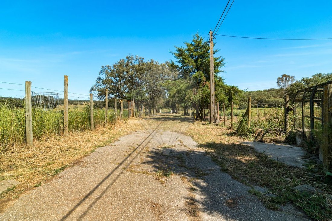 House in Malagueira e Horta das Figueiras, Évora District, Portugal 1 - 14608763