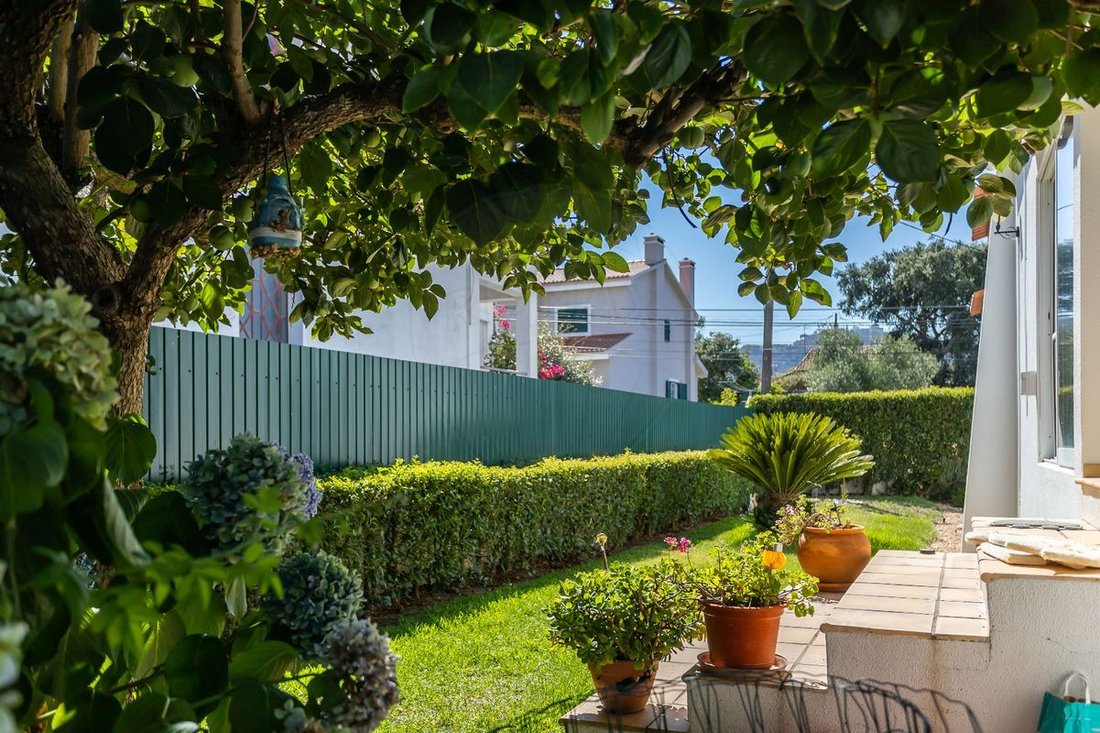 House in Palmela, Setubal, Portugal 1 - 14608478