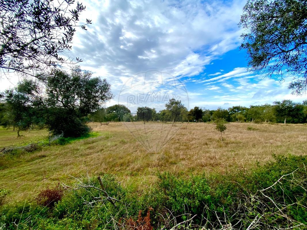 Land in Melides, Setubal, Portugal 1 - 14608591