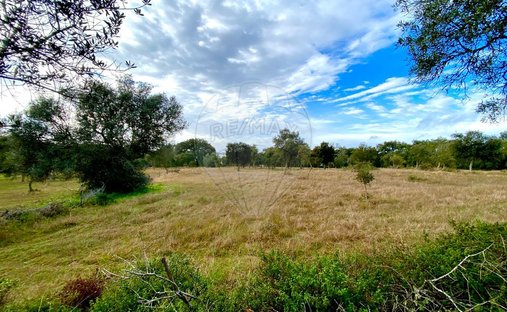 Land in Melides, Setubal, Portugal 1
